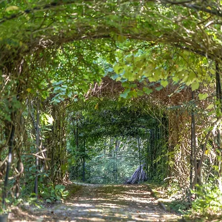 Casa vacanze Do Jardim Fornelos (Ponte de Lima)